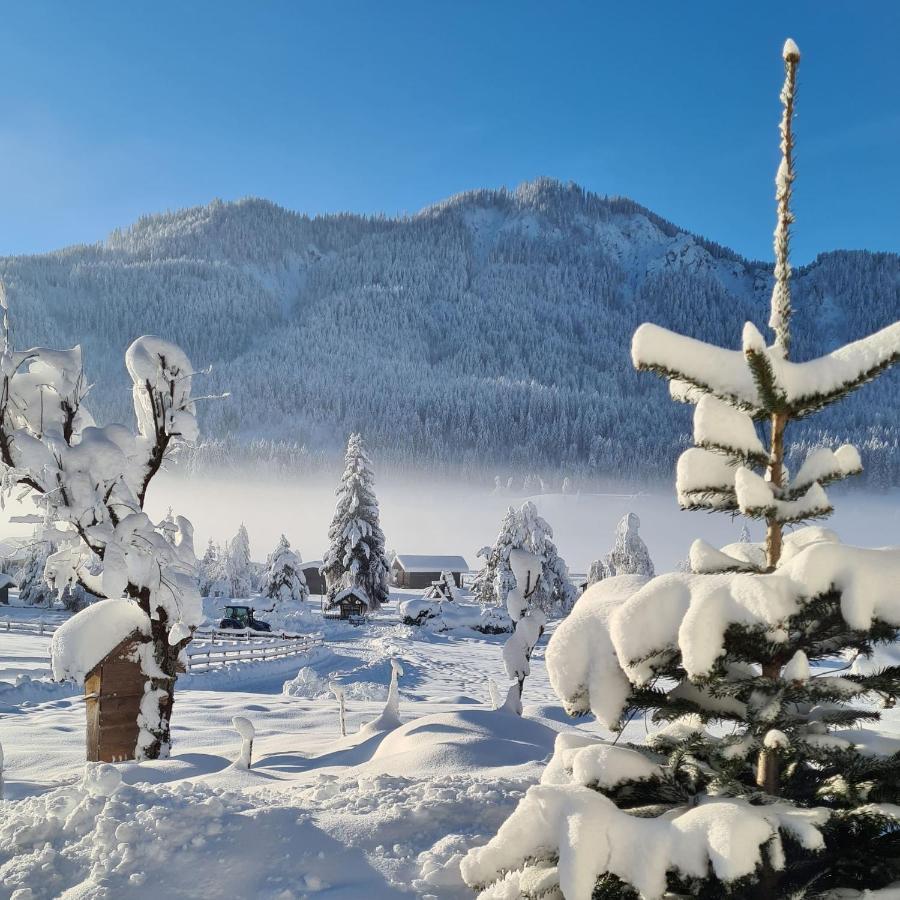 Hotel Winkler-Tuschnig Вайсензее Екстериор снимка